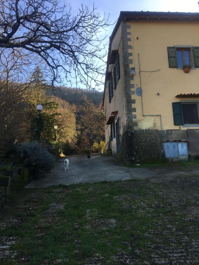 Welcome In Toscana Polcanto Ngoại thất bức ảnh