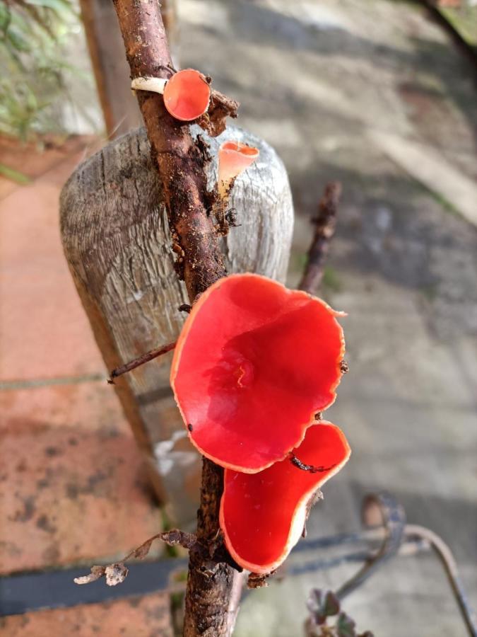 Welcome In Toscana Polcanto Ngoại thất bức ảnh