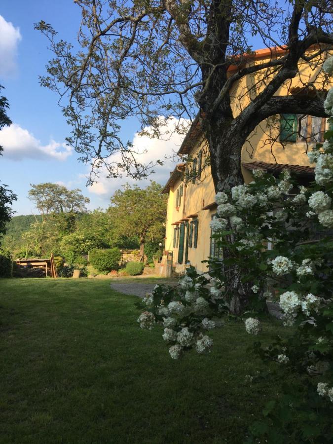 Welcome In Toscana Polcanto Ngoại thất bức ảnh