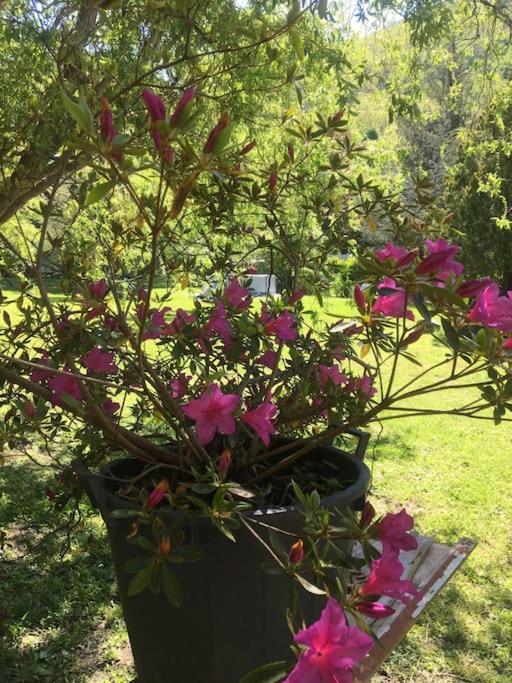 Welcome In Toscana Polcanto Ngoại thất bức ảnh
